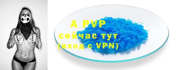 ешки Белокуриха