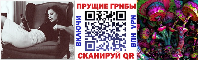 Галлюциногенные грибы GOLDEN TEACHER  сайты даркнета телеграм  Няндома  наркошоп 